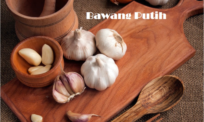 Bawang Putih